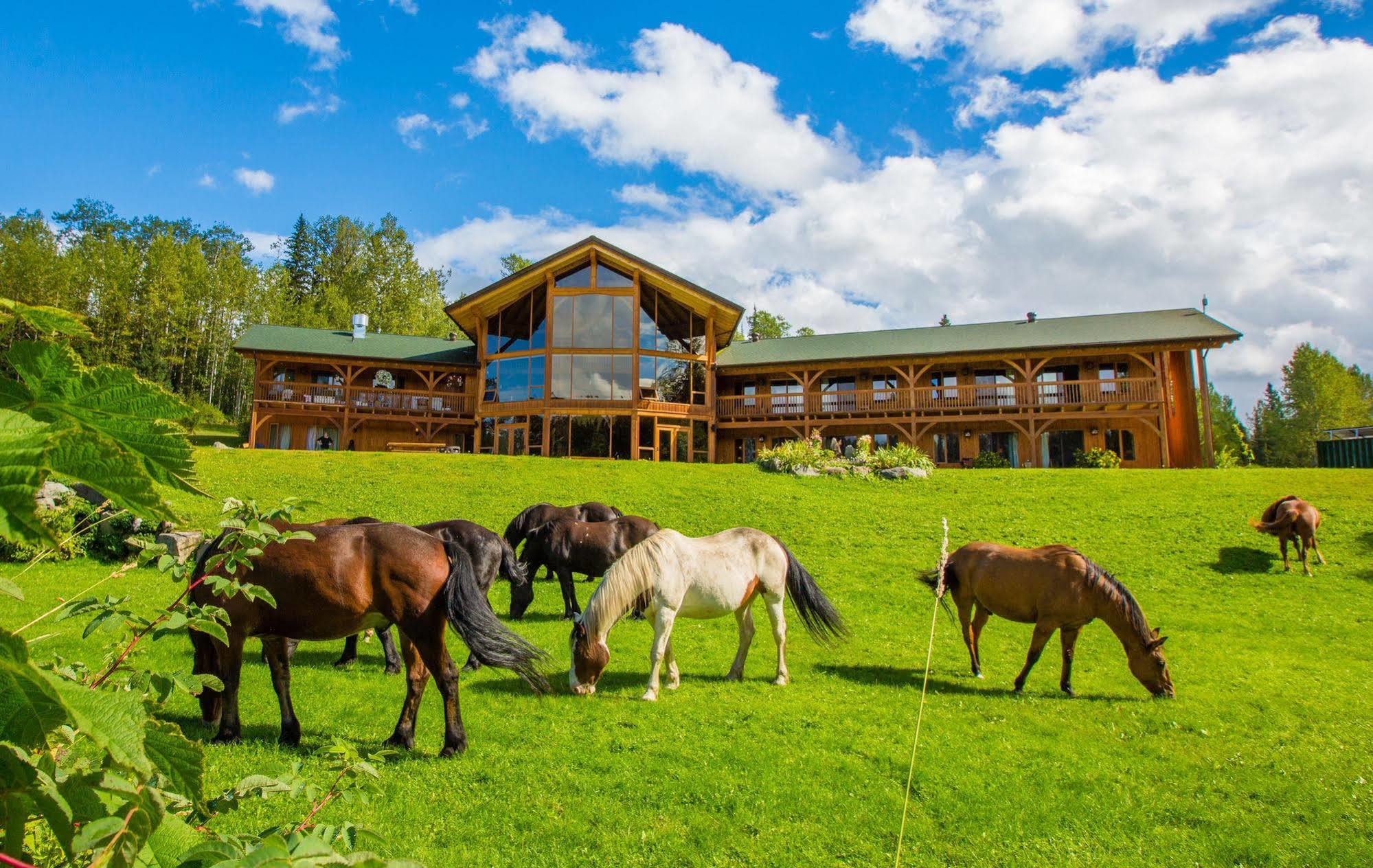Bear Claw Lodge Kispiox Extérieur photo