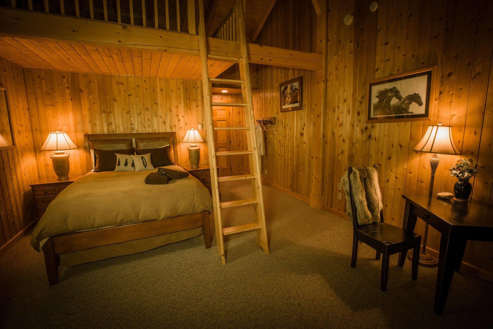 Bear Claw Lodge Kispiox Extérieur photo