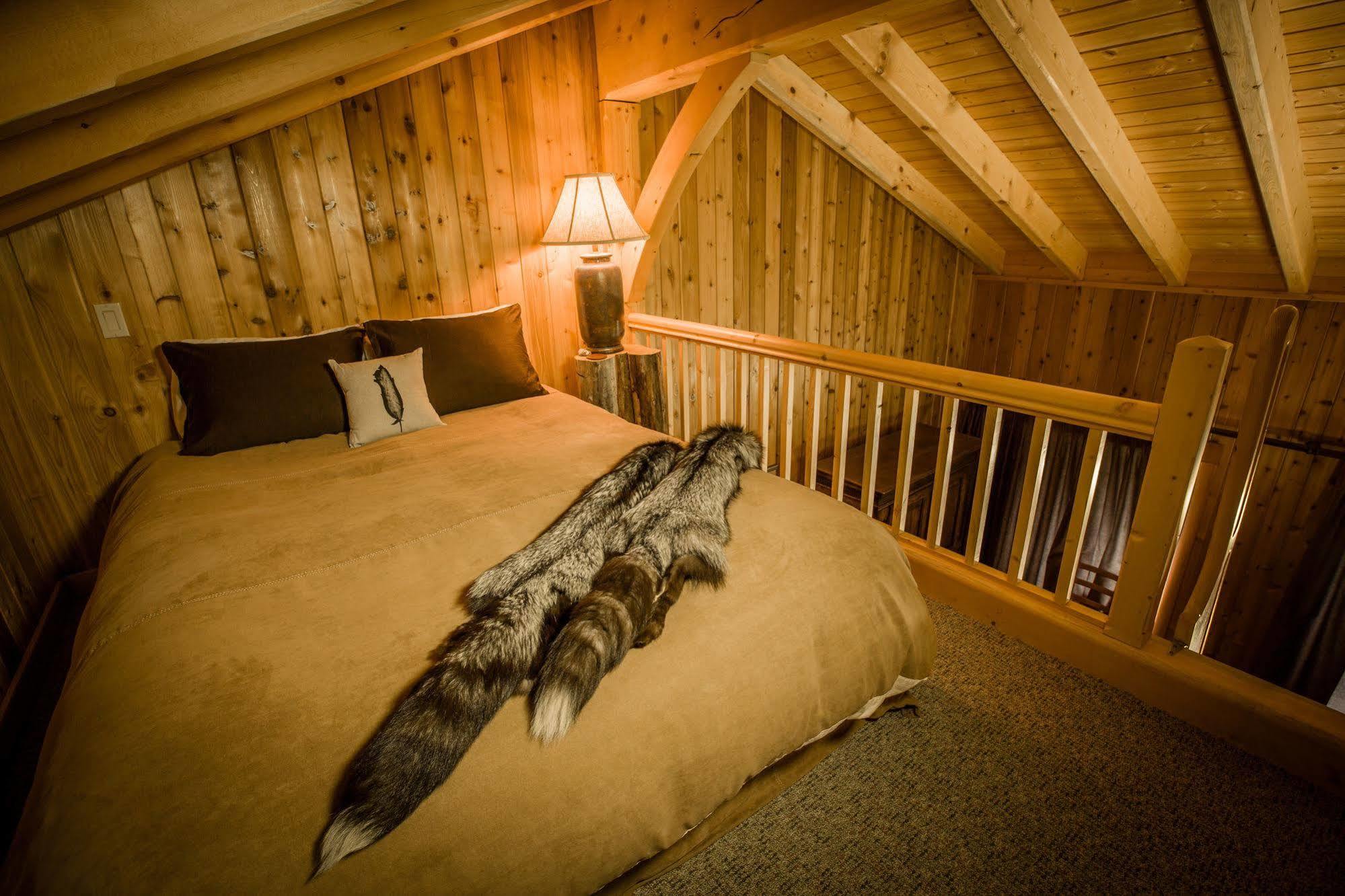 Bear Claw Lodge Kispiox Extérieur photo